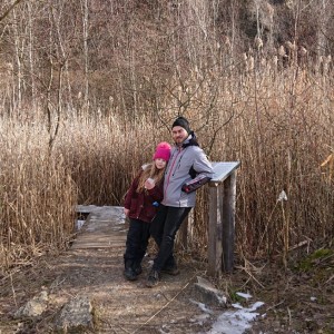 Liška II - průběžný stav