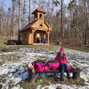 Dvojka news únor 2021