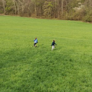 Fotky ze schůzek Lišek