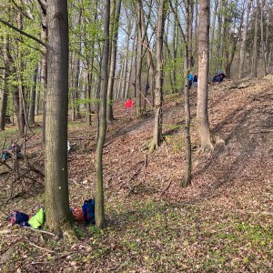 Fotky ze schůzek Lišek