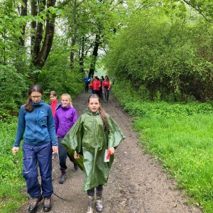 Fotky ze schůzek Lišek