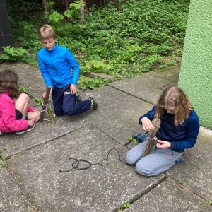 Fotky ze schůzek Lišek