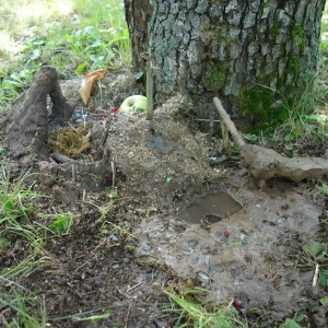 Příměstský tábor 2021