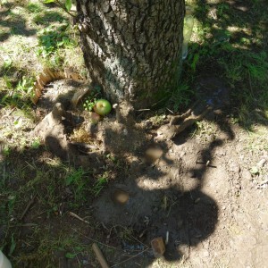 Příměstský tábor 2021