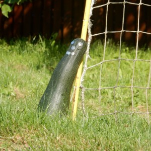 Příměstský tábor 2021