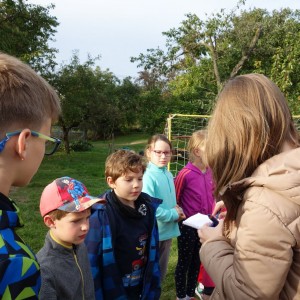 Říjnová oddílovka