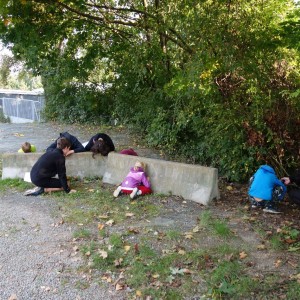 Říjnová oddílovka