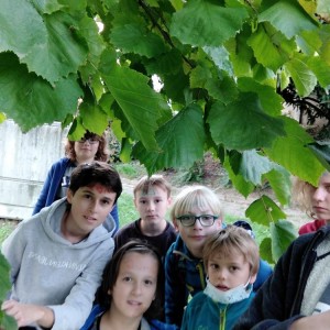 Říjnová oddílovka