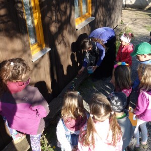 Dvojka news květen 2021