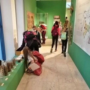 Soví přespání a výprava do Anthroposu