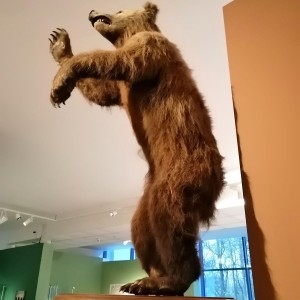 Soví přespání a výprava do Anthroposu