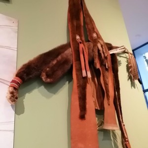 Soví přespání a výprava do Anthroposu