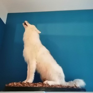 Soví přespání a výprava do Anthroposu