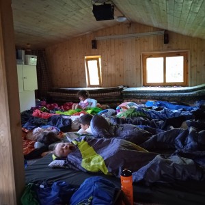 Sviští přespávačka