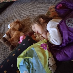 Sviští přespávačka