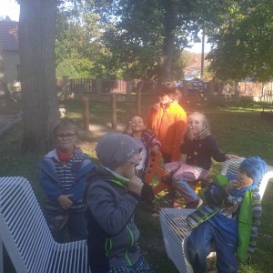 Svišti v Bedřichovicích