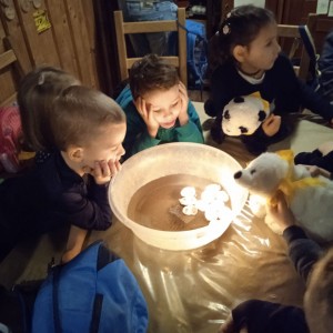 Vánoční sviští schůzka