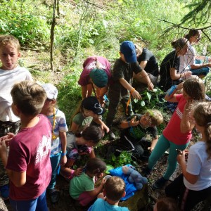 Tábor Březí 2021 10. den