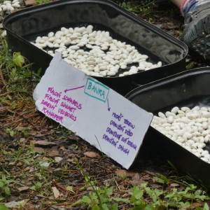 Tábor Březí 2021 7. den