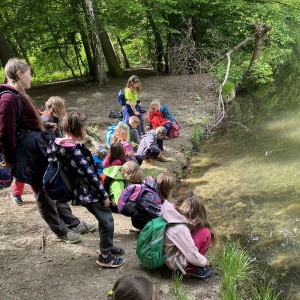 Tučňáčí přespávačka