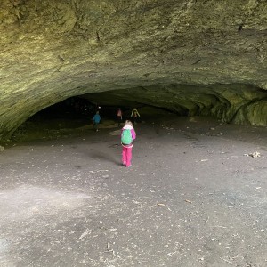 Tučňáčí přespávačka