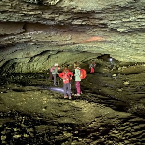 Tučňáčí přespávačka