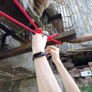 Tygři první na Stínadla tudy!