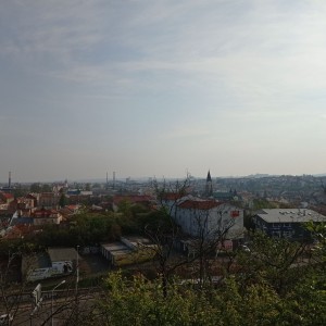 Tygři první na Stínadla tudy!