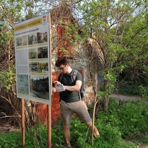 Tygři první na Stínadla tudy!