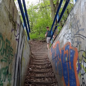 Tygři první na Stínadla tudy!