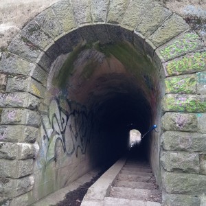 Tygři první na Stínadla tudy!