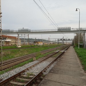 Tygři první na Stínadla tudy!