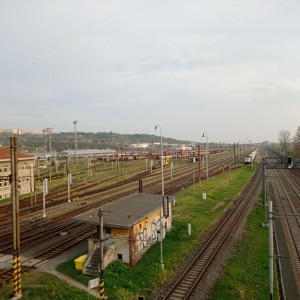 Tygři první na Stínadla tudy!