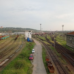 Tygři první na Stínadla tudy!