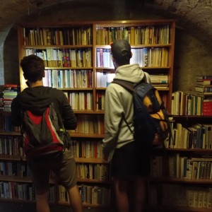 Tygři první na Stínadla tudy!