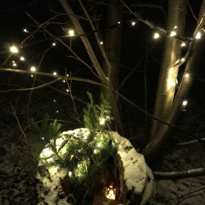 Vánoční schůzka Lišek 20.12.2021