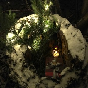 Vánoční schůzka Lišek 20.12.2021