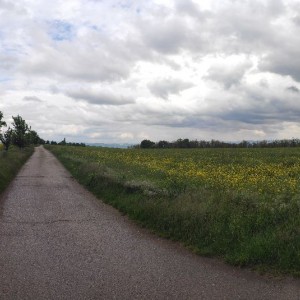 Vlčí cyklovýprava