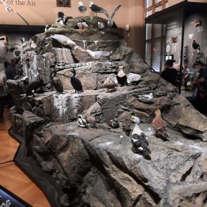 Vlčí přespání na Boudě a výprava do Prahy