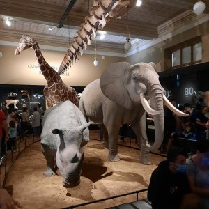 Vlčí přespání na Boudě a výprava do Prahy