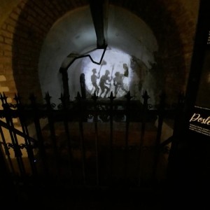 Vlčí přespání na Boudě a výprava do Prahy