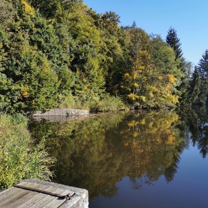 Výprava Lišek do Moravského krasu (8.-10.10.2021)