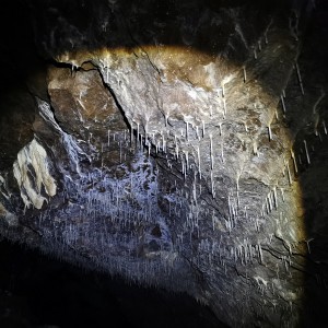 Výprava Lišek do Moravského krasu (8.-10.10.2021)