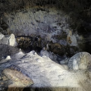 Výprava Lišek do Moravského krasu (8.-10.10.2021)