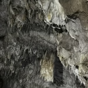 Výprava Lišek do Moravského krasu (8.-10.10.2021)