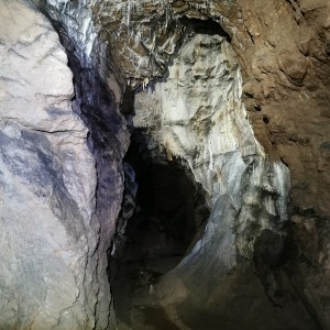 Výprava Lišek do Moravského krasu (8.-10.10.2021)