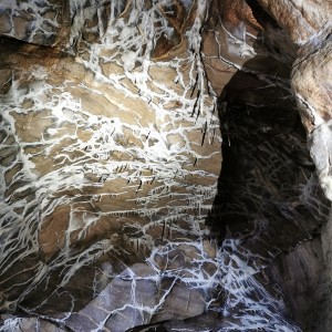 Výprava Lišek do Moravského krasu (8.-10.10.2021)