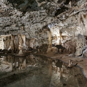 Výprava Lišek do Moravského krasu (8.-10.10.2021)