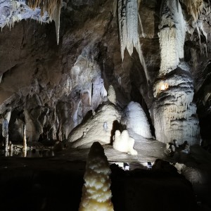 Výprava Lišek do Moravského krasu (8.-10.10.2021)