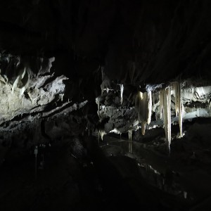 Výprava Lišek do Moravského krasu (8.-10.10.2021)